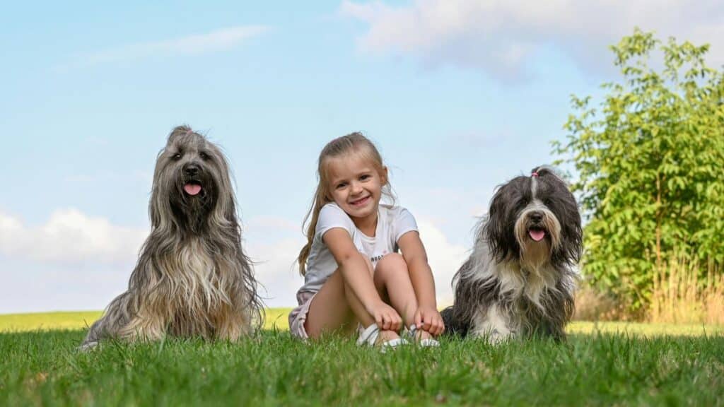 cachorro e filho